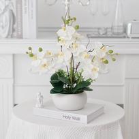 Dirbtinių falenopsių puokštė keramikiniame vazone – Dekoratyvus dirbtinių orchidėjų rinkinys svetainei Silk Cloth balta