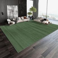 Nordic Large Area Carpets for Living Room Bedroom Soft Casual Rugs Sofa Tea Table Carpet Home Decoration 120*160cm