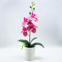 Fake Bonsai Fancy Simulation Reusabl Fresh-keeping Realistic Faux Flower UV-resistant PVC Butterfly Orchid Artificial Flower rožinė