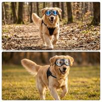 Wind Proof Pet Eye Guard Oversized Frame Pet Eye Visor Large Frame Dog Eye Visor  Party Cosplay Clear Lens