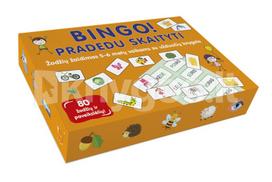 Bingo! Pradedu skaityti! Žodžių žaidimas 5–6 metų vaikams