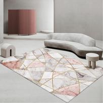 Living Room Carpet Coffee Table Sofa Home Use Whole Bed Home Square Large Carpet 80cm×120cm