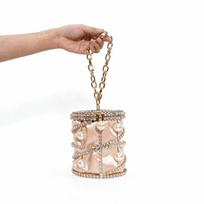 2026 Women's Pearl Bird Cage Bag Hollow Banquet Bag Shiny Light Luxury Dinner Clutch Bag