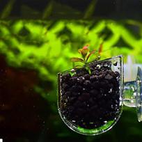Akvariumo dekoras Pakabinamas žuvų bakas Mini stiklinis vazonas su vandeniu vazoninis sodinimo puodelis
