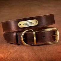 Personalized Dog Collar And Leash Set Real Leather Pet Collars Dogs Walking Lead Leash for Small Large Dogs Pitbull XXS-XL XXS brown