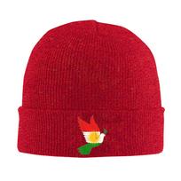 Kurdistan Flag  Beanie Hats  Bonnet Hats Men Women Casual Kpop Skullies Beanies Spring Design Warm Soft Caps One Size