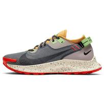 Nike Pegasus Trail 2 Gore Tex Dūminės pilkos spalvos su rusvu atspalviu Moteriški CU2018-002 35.5 beige