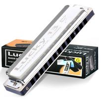 East Top Lucky13 Blues Harmonica in for Jazz and Study and Brass Canvas Case (PowerChromatic-G) 13-Hole G, Professionals, Adults, Children, Practice,