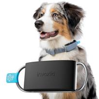 INVOXIA MINI TAILZ HEART MONITOR LWT6 (WITH 1 YEAR SUBSCRIPTION) | 3700689801605 | 3700689801605