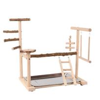 Bird Training Platform Climbing Parrots Swing Gym Toy for Parakeets Cockatiel 1