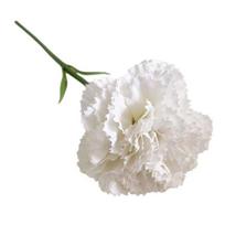 Artificial Carnation Flower 11.4'' Fake Silk Carnation Flower with Single Stem for Wedding Bridal Bouquet Anniversary Birthday Home Dining Table Decor