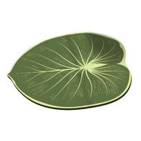 Realistic 3D Leaf Rug Irregular Leaf Shaped Floor Mat Anti Slip Green Leaf Doormat for Bathroom Kitchen Living Room Decor I žalia