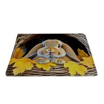 Bottomless Hole 3D Optical Illusion Rug Non-Slip Visual Trap Doormat Indoor Outdoor Entrance Mat for Bedroom Living Room Porch Patio Entryway Front 40x60cm B