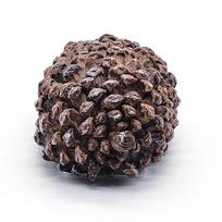 Outdoor Garden Key Safe Box Hidden Rock Hide Keys In Pine Cone Safety Storage Box For Home RV Key Safes Creative Hide Spare Keys