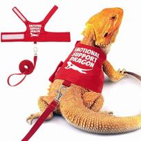 Secure Adjustable Bearded Dragon Harness Soft Leather Short Leash Lizard Harness Escape Proof Harness Reptile Walking raudona