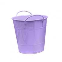Patvarus metalinis augalo vazonas gėlių vazonas saldainių spalvos geležinis gėlių vazonas su rankena Mažas geležinis kibiras sodintuvas namams orchidėjoms (Blue,One Size) mėlyna
