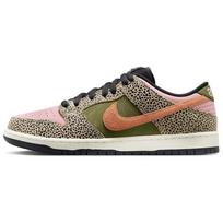 Nike x Arts-Rec SB Dunk Low 'Arts-Rec' Men's IH3211-200 EU 46