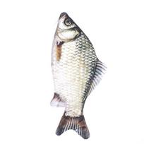 „Crucian Carp Pen Bag“ tikroviškas žuvies formos makiažo maišelis rašiklio pieštuko dėklas su užtrauktuku „Atgal į mokyklą“ pieštuko maišelis Pieštuko krepšys