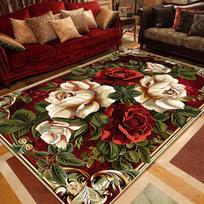 European Luxury Large Area Rugs Non-slip Washable Floor Mats for Living Room Bedroom Sofa Side Cloakroom Decoration 60*90cm