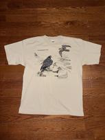Vintage 1996 The Peregrine Fund T Shirt Mens XL Beige Bird Nature Animal Art 90s Unisex T-Shirt XXXXL