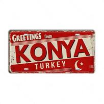 Turkey License Plates Metal Tin Signs for Wall Art Decoration Vintage Tags Metal Automotive Signs For Cafe Bar Club Garage Pub 15x30cm