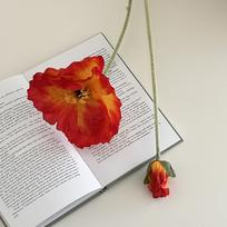 Large Artificial Poppy Flower Bouquet for Living Room, Shop Window Display, and Photography Prop