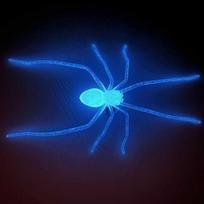 Simulated Spider Fridge Magnet Unique Halloween Magnet Prank Glow in The Dark Magnet  Kitchen Decor šviesiai mėlyna spalva