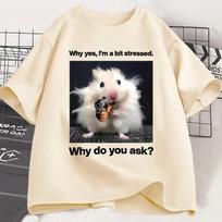 Why Hes Im A Bit Stressed Funny Print T-Shirt Men Women Weirdcore Clothing Unhinged Animal Mouse Graphic T Shirts Tees S