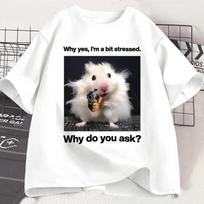 Why Hes Im A Bit Stressed Funny Print T-Shirt Men Women Weirdcore Clothing Unhinged Animal Mouse Graphic T Shirts Tees M