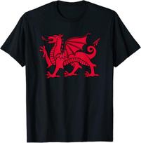 Welsh Red Dragon Flag of Wales T-Shirt S įvairiaspalvis