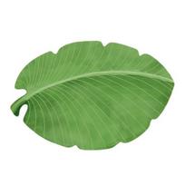 Realistic 3D Leaf Rug Irregular Leaf Shaped Floor Mat Anti Slip Green Leaf Doormat for Bathroom Kitchen Living Room Decor M žalia