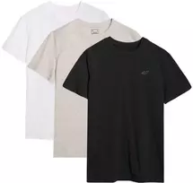 Vyriški marškinėliai (3 vnt. rinkinys) 4F 3P-SS-4FWMM00TTSHM2256-91S 3PACK
