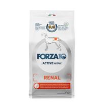 Forza10 Renal Active dietinis sausas maistas suaugusiems šunims, sergantiems ūminiu ir lėtiniu inkstų nepakankamumu, 4 kg