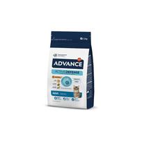 Advance Cat Adult Chicken & Rice sausas maistas suaugusioms katėms su vištiena ir ryžiais, 1.5 kg