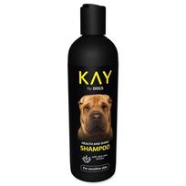KAY Shampoo For Dogs With Aloe Vera šampūnas šunims su jautria oda, 250 ml