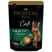 Prospera Plus Pouch Adult 1+, Chicken, Beans šlapias maistas katėms su vištiena ir pupelėmis padaže, 85 g