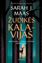 Žudikės kalavijas. Serijos „Stiklo sostas“ priešistorė
