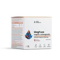 Aura Herbals MagFuse – magnis + ašvaganda (30 pakelių)