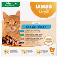 IAMS DELIGHTS Adult Sea in Jelly box – šlapias pašaras katei – 8x85g