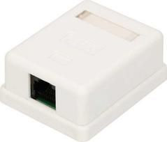 ExtraLink EXTRALINK 1XRJ45 CAT5E UTP SIENOS MONTAVIMO IŠVESTIS