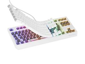 Genesis Thor 230 TKL White RGB Outemu Brown