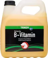 TRIKEM – B vitaminas 3L – (721.2023)
