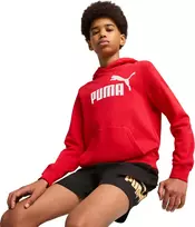 Puma Džemperis Paaugliams Ess No.1 Logo Hoodie Raudona 684909 11