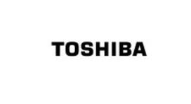 TOSHIBA N300 NAS HDD 6TB 3.5i Bulk | HDEX01SZNA51F
