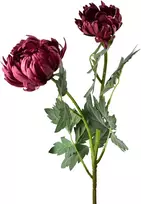 Mondex Since 1986 VIRIDIS chrizantema (x2) šakelė 69cm