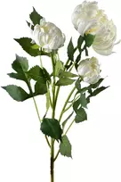 Mondex Since 1986 VIRIDIS chrizantema (x3) šakelė 70cm