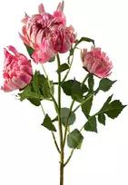 Mondex Since 1986 VIRIDIS chrizantema (x3) šakelė 70cm