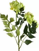 Mondex Since 1986 VIRIDIS chrizantema (x3) šakelė 70cm