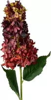 Mondex Since 1986 VIRIDIS gėlė ilga hortenzija 80cm
