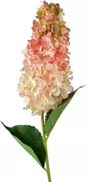 Mondex Since 1986 VIRIDIS gėlė ilga hortenzija 80cm